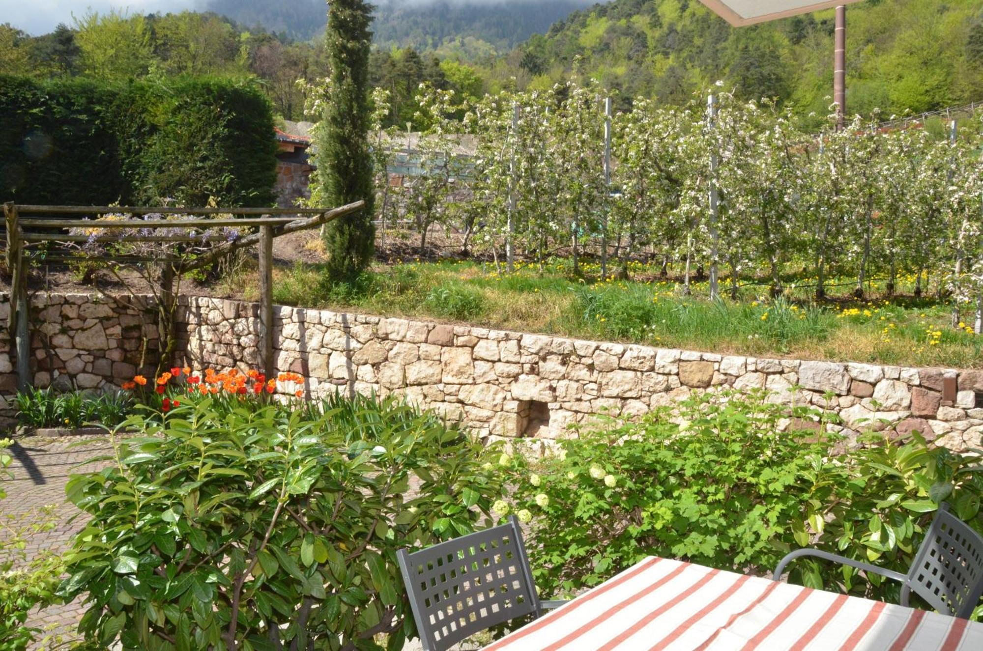 Schloss-Hof Appiano Sulla Strada Del Vino Zewnętrze zdjęcie